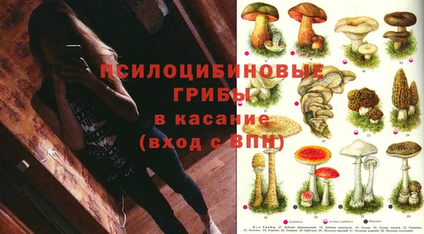 ПСИЛОЦИБИНОВЫЕ ГРИБЫ Остров