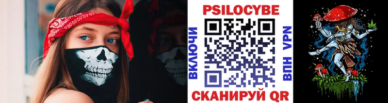 дарнет шоп  Рославль  блэк спрут онион  Галлюциногенные грибы прущие грибы 